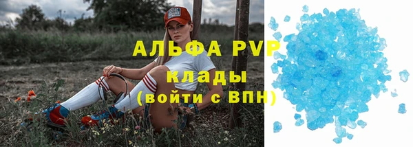 дживик Аркадак