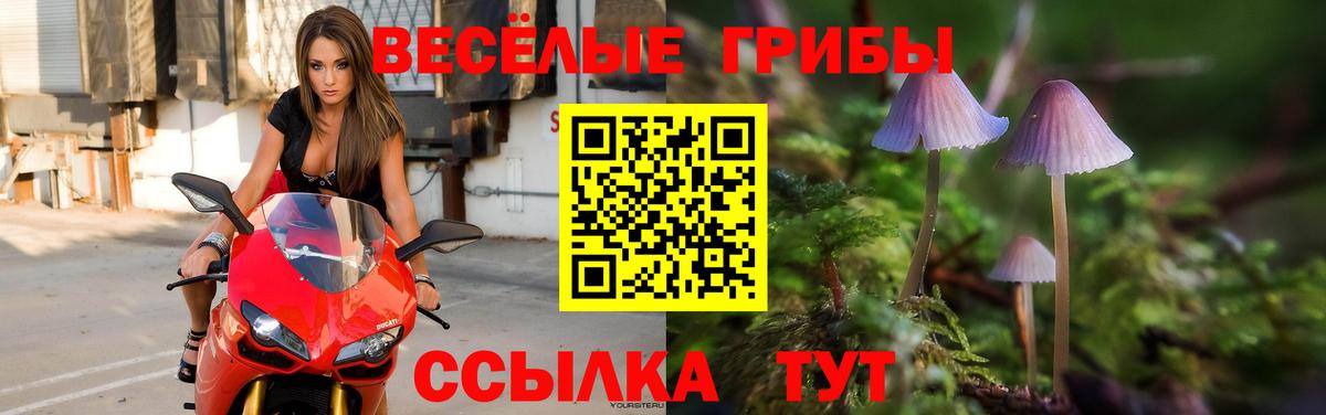 Галлюциногенные грибы мухоморы  Вход с VPN  как найти   Белорецк 